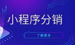 saas支付宝微信公众号小程序商城H5python开发
